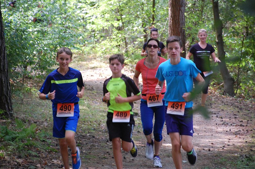 7 km 2015 - 017